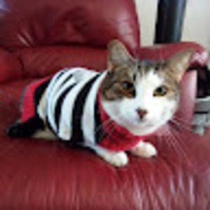 Meet your Posher, Co